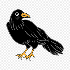 crow