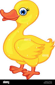 duck