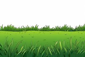 grass