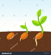 grow