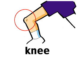 knee