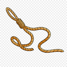 knot