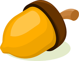 nut