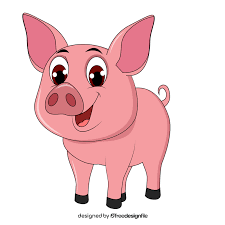 pig