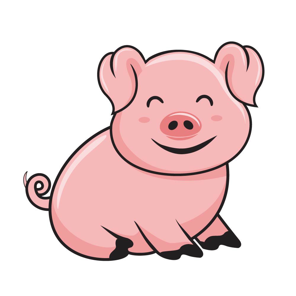 Pig