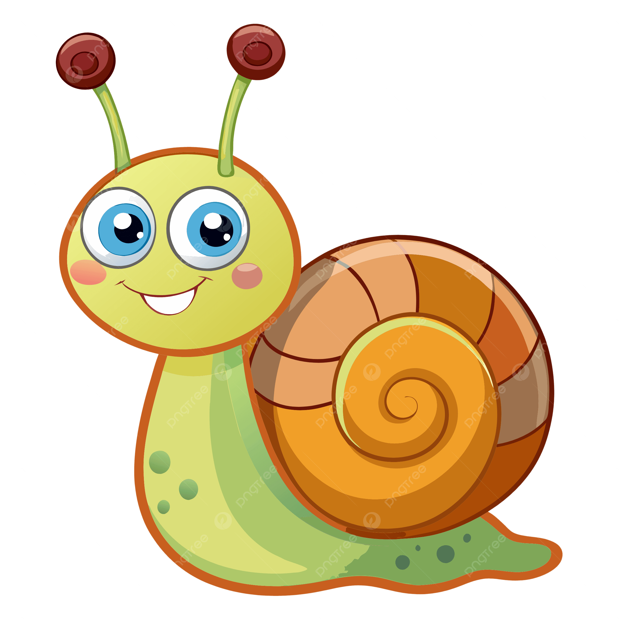 snail